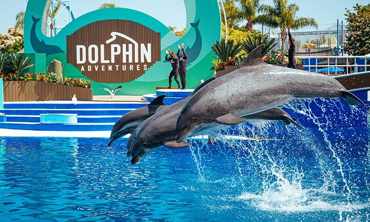 seaworld seaworld